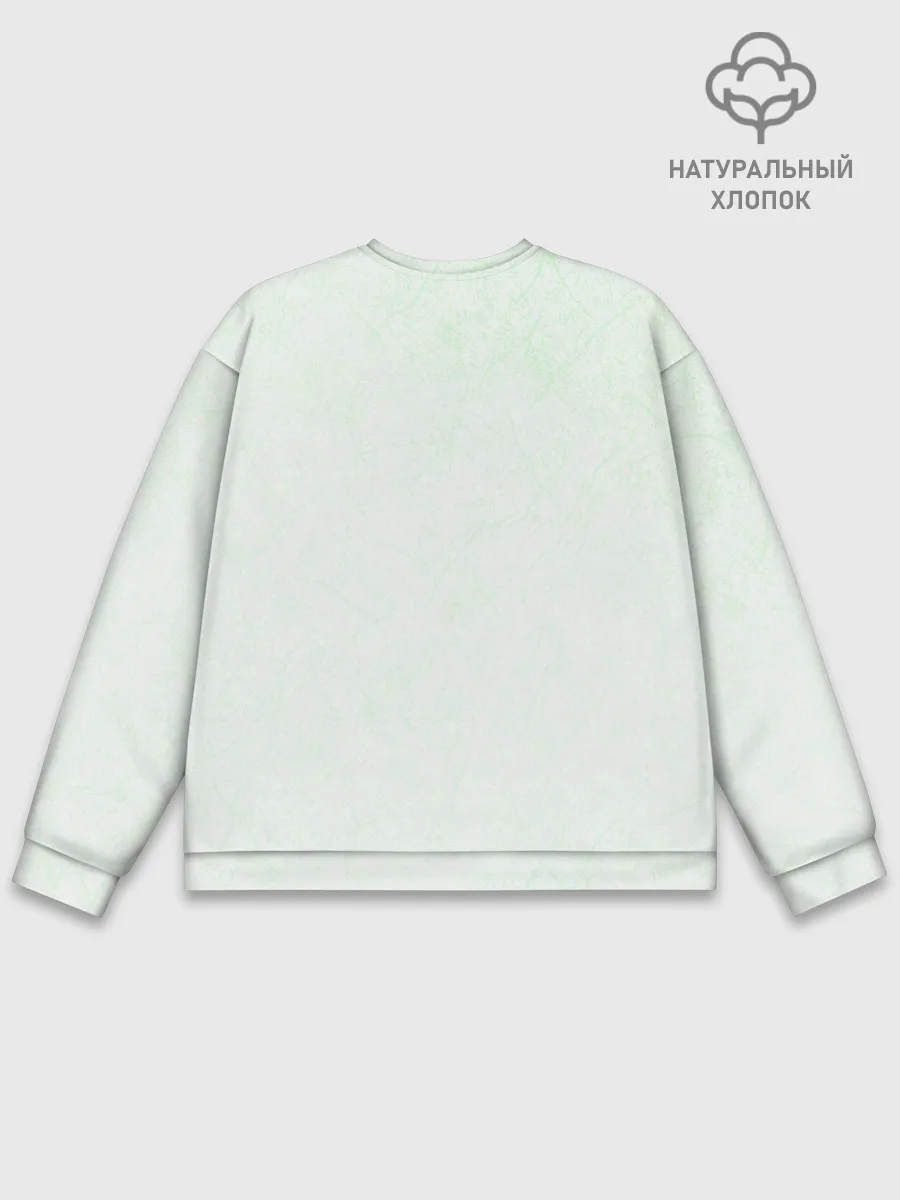 Мужской свитшот базовый / Енот