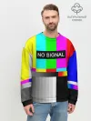 Мужской свитшот базовый / NO SIGNAL