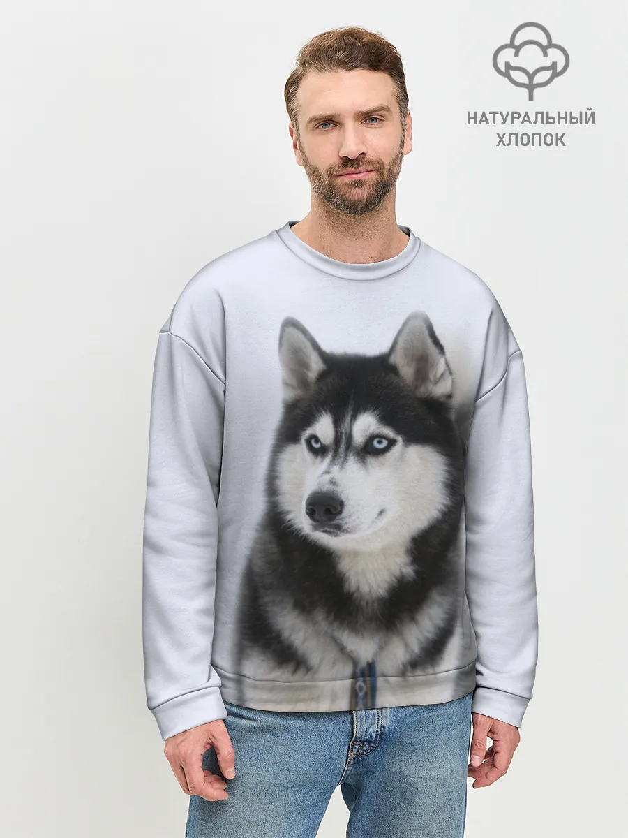 Мужской свитшот базовый / ХАСКИ