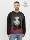 Мужской свитшот базовый / ПАНДА