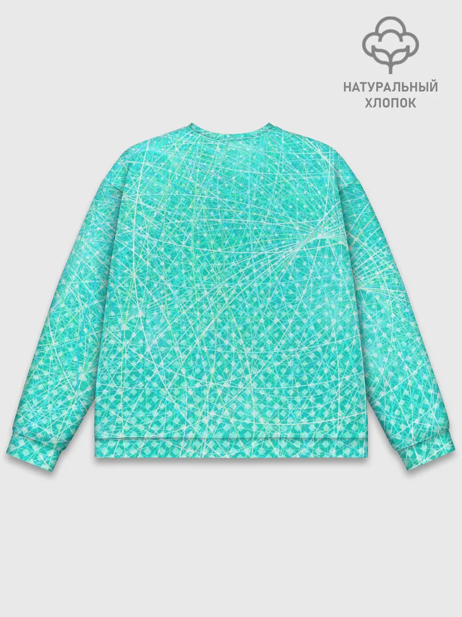 Мужской свитшот базовый / Zero Two Хикка