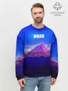 Мужской свитшот базовый / HUSH