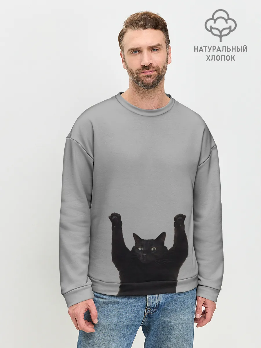 Мужской свитшот базовый / Кот сдается