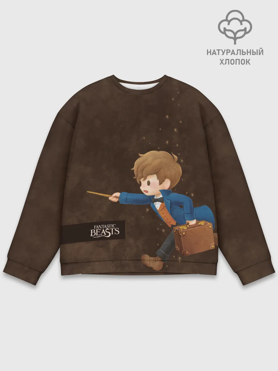 Мужской свитшот базовый / Fantastic Beasts