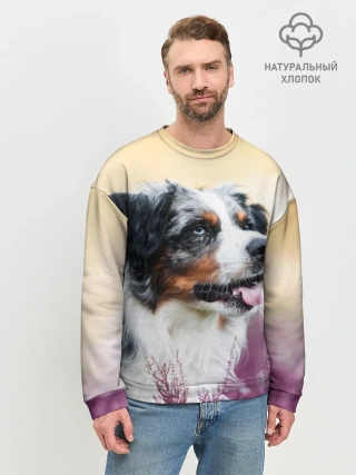 Мужской свитшот базовый / Австралийская Овчарка