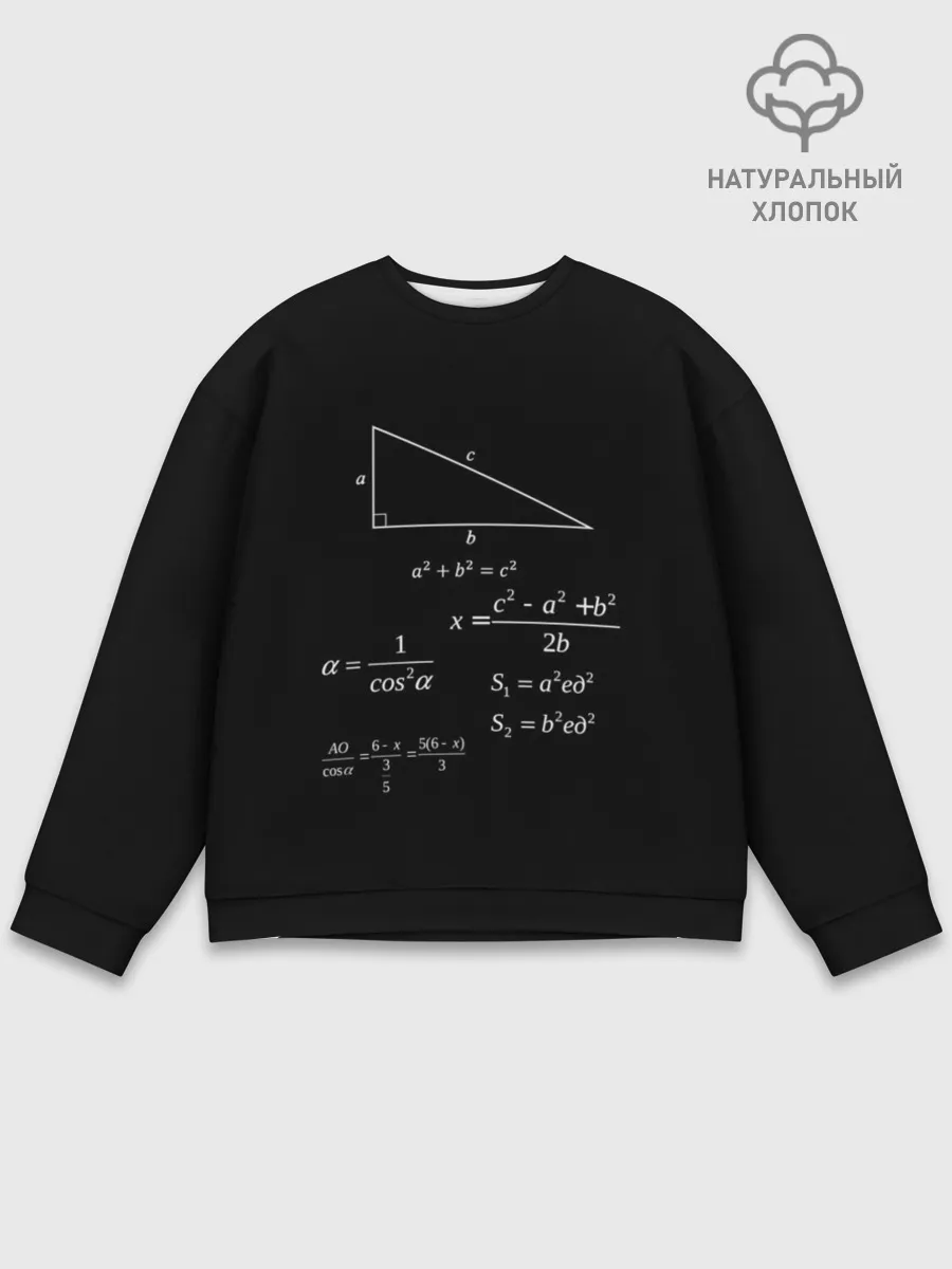 Мужской свитшот базовый / Теорема Пифагора