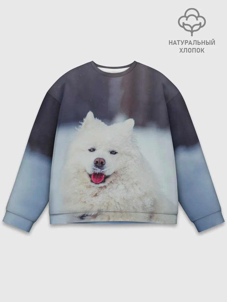 Мужской свитшот базовый / САМОЕД