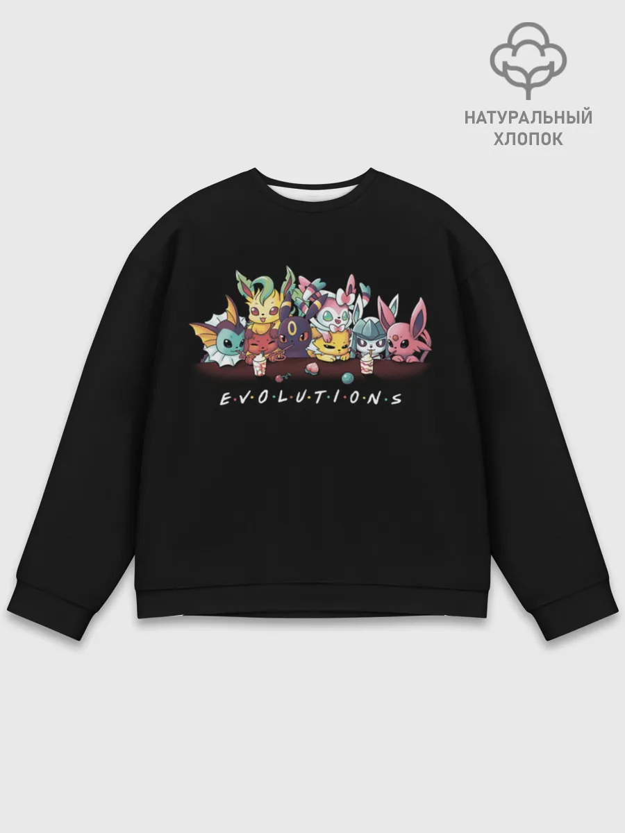 Мужской свитшот базовый / EVOLUTIONS