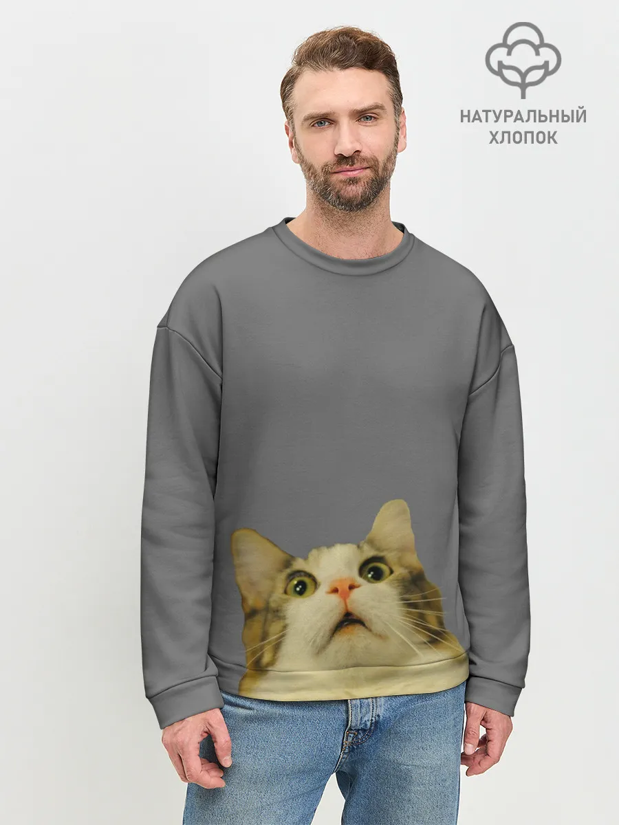 Мужской свитшот базовый / Коте смотрит вверх