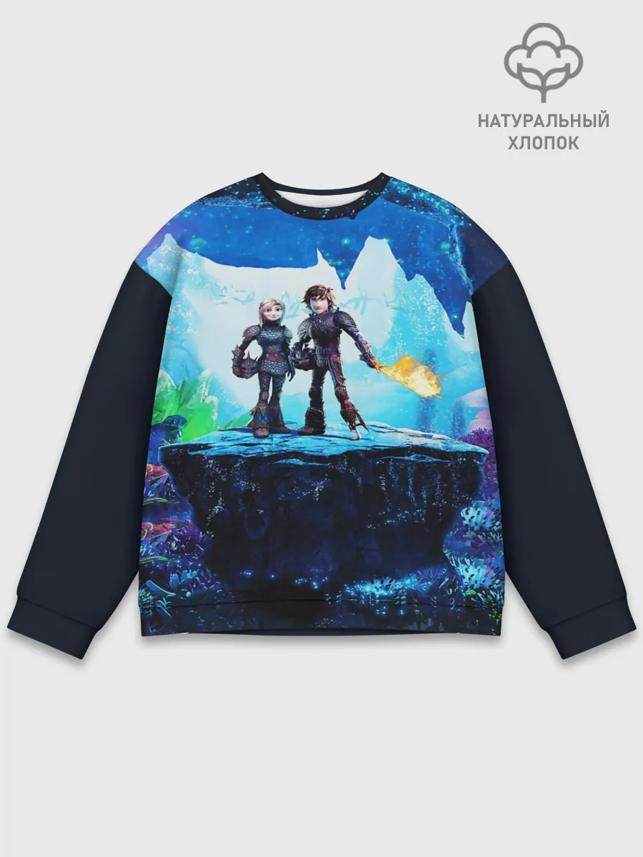 Мужской свитшот базовый / Как приручить Дракона 3