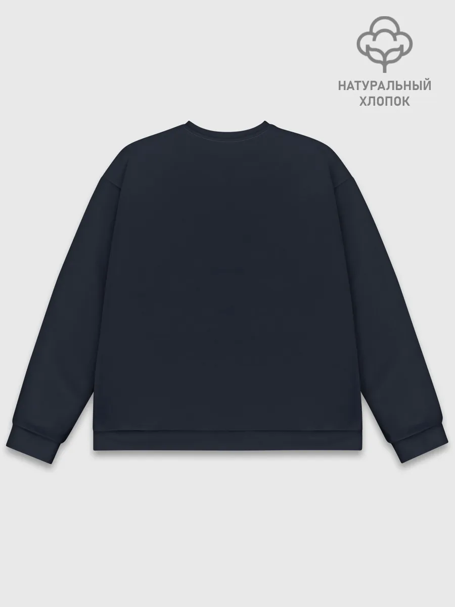 Мужской свитшот базовый / Как приручить Дракона 3