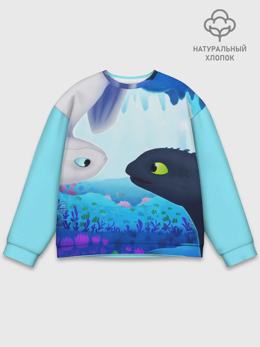 Мужской свитшот базовый / Приручить Дракона