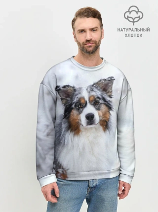 Мужской свитшот базовый / Австралийская овчарка
