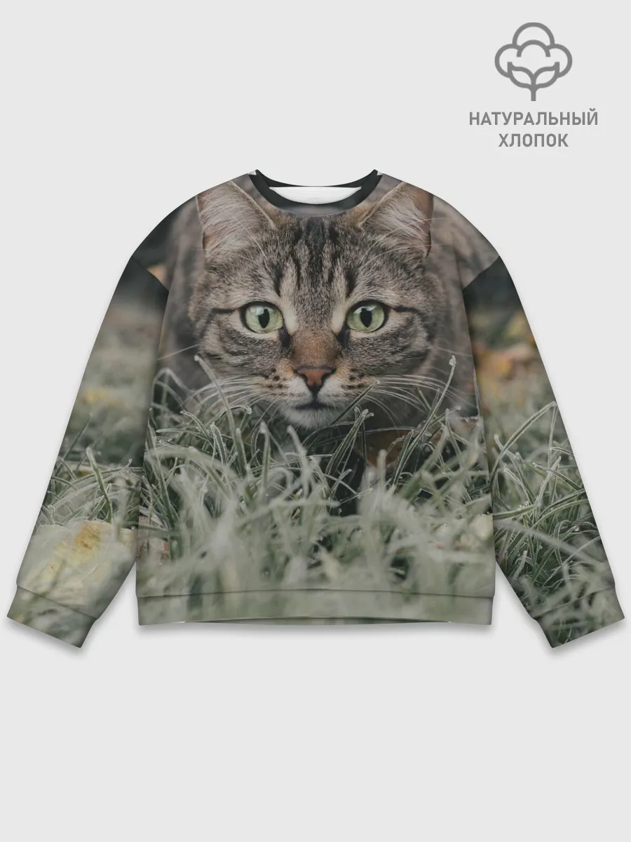 Мужской свитшот базовый / Кошка