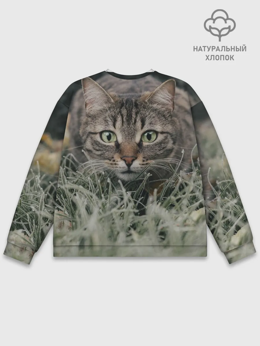 Мужской свитшот базовый / Кошка