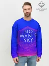 Мужской свитшот базовый / NO MANS SKY