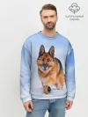 Мужской свитшот базовый / Овчарка и снег