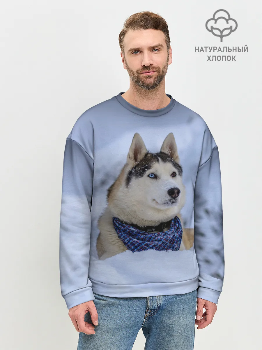 Мужской свитшот базовый / Хаски