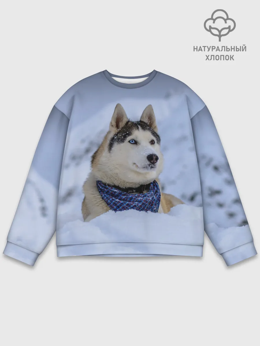Мужской свитшот базовый / Хаски