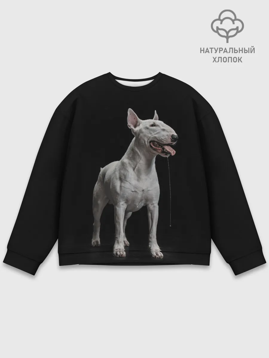 Мужской свитшот базовый / Bully