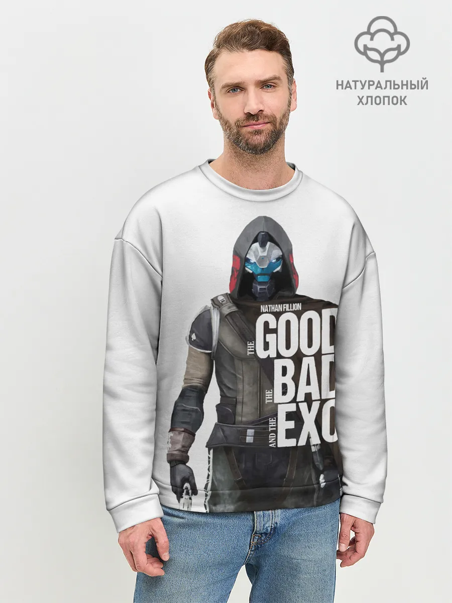 Мужской свитшот базовый / Destiny 2