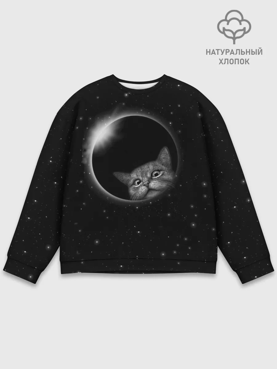 Мужской свитшот базовый / Кот в Космосе