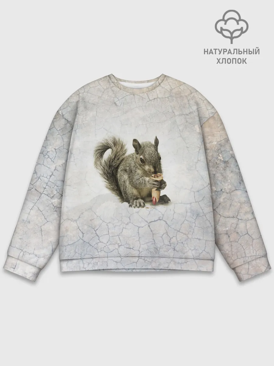 Мужской свитшот базовый / Белки