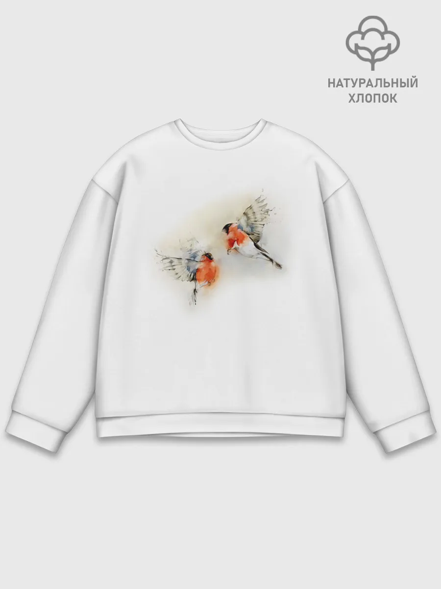 Мужской свитшот базовый / Снегири