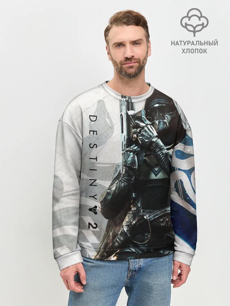 Мужской свитшот базовый / DESTINY, HUNTER