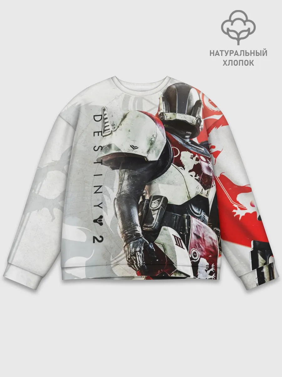 Мужской свитшот базовый / DESTINY, TITAN