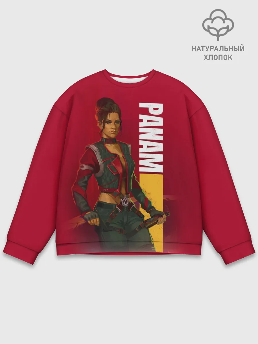 Мужской свитшот базовый / Panam