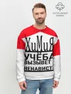 Мужской свитшот базовый / Учёба-Химия
