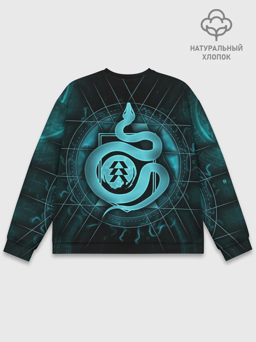 Мужской свитшот базовый / DESTINY 2 HUNTER