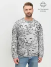 Мужской свитшот базовый / Коты мемы кошки
