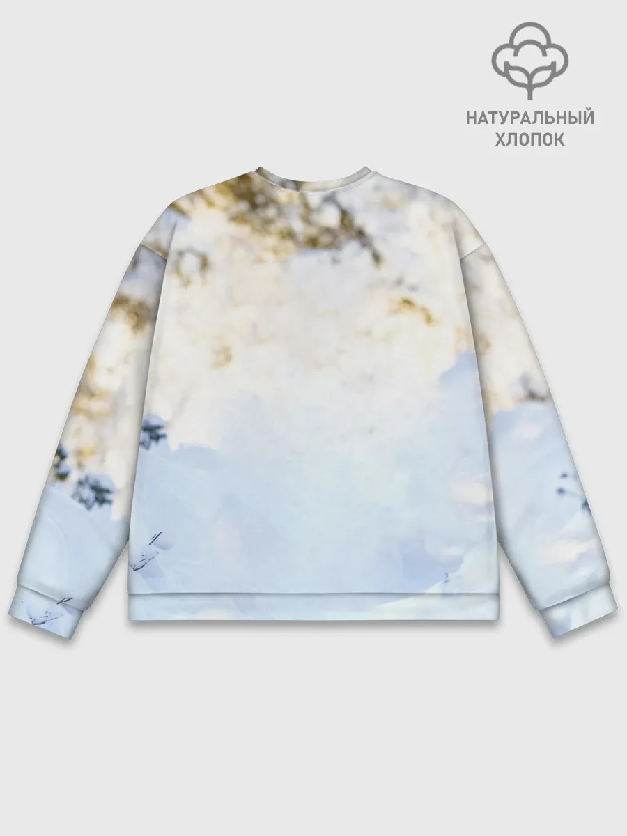 Мужской свитшот базовый / Я зимой