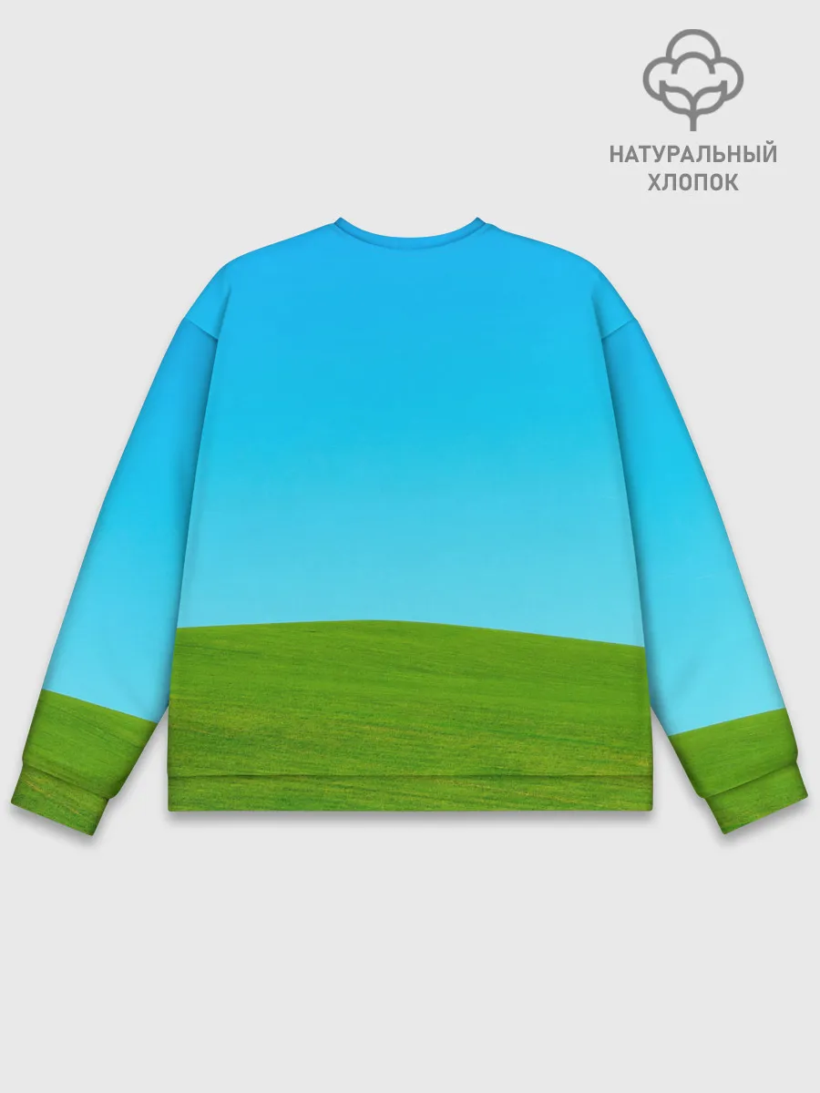 Мужской свитшот базовый / Windows XP