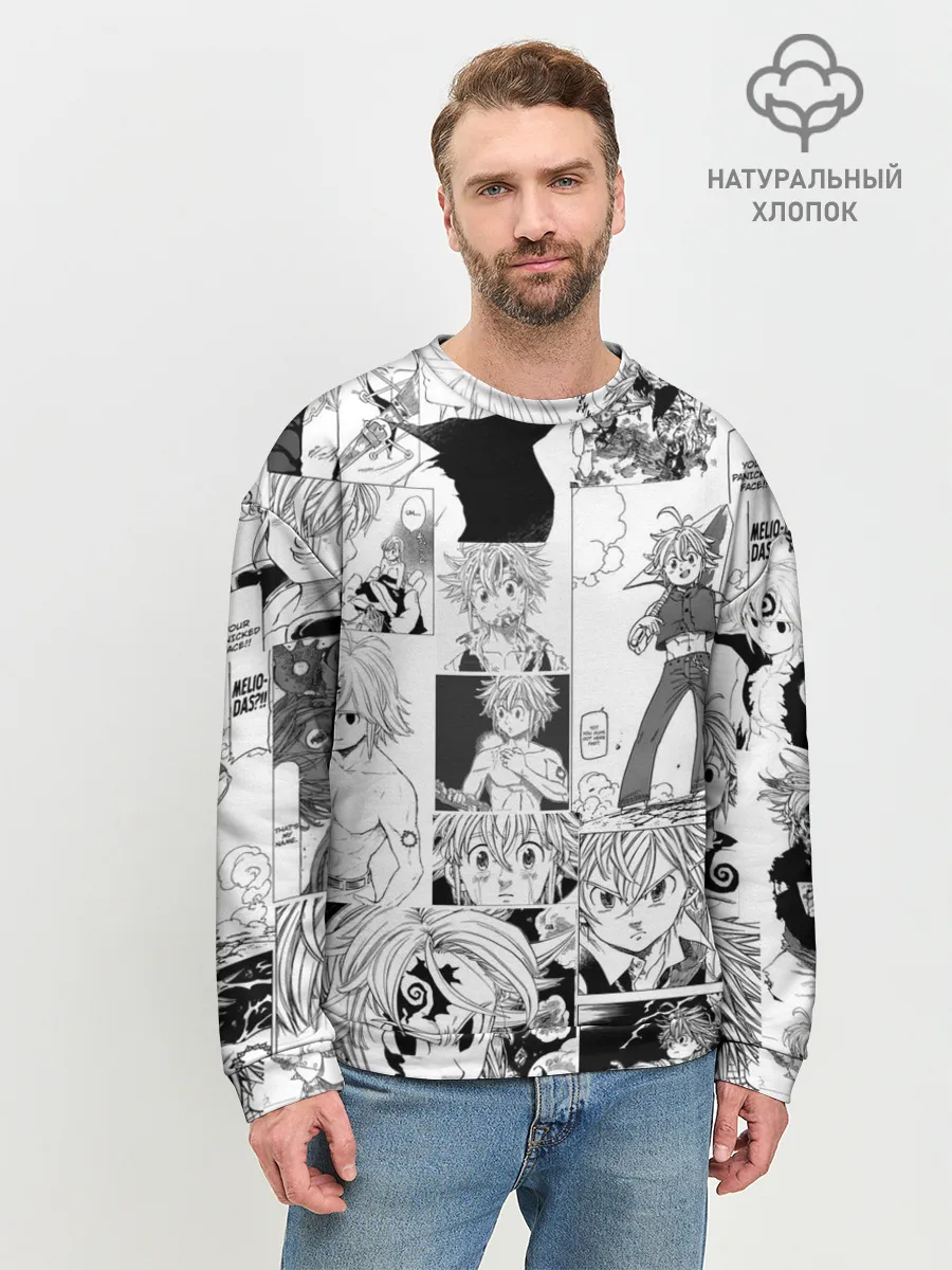 Мужской свитшот базовый / Мелиодас