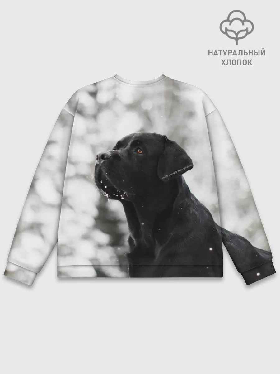 Мужской свитшот базовый / Лабрадор Марк