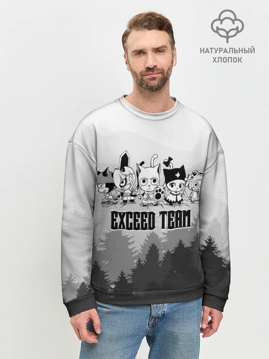 Мужской свитшот базовый / Exceed Team