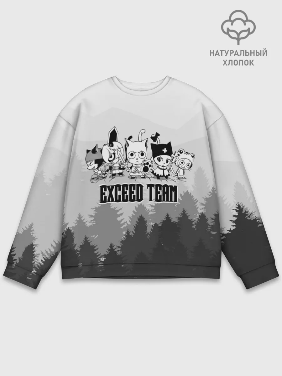 Мужской свитшот базовый / Exceed Team