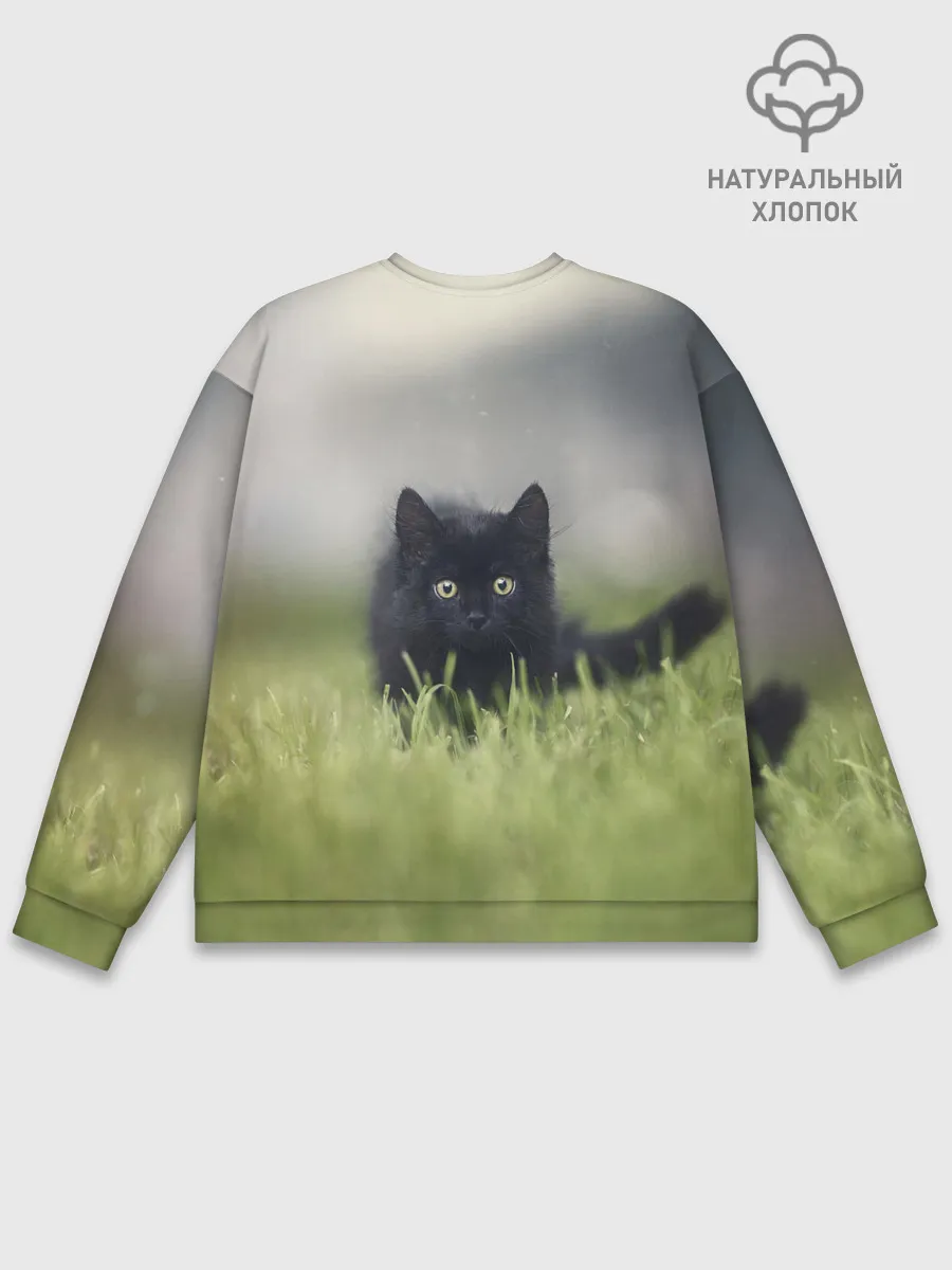 Мужской свитшот базовый / черный кот на лугу