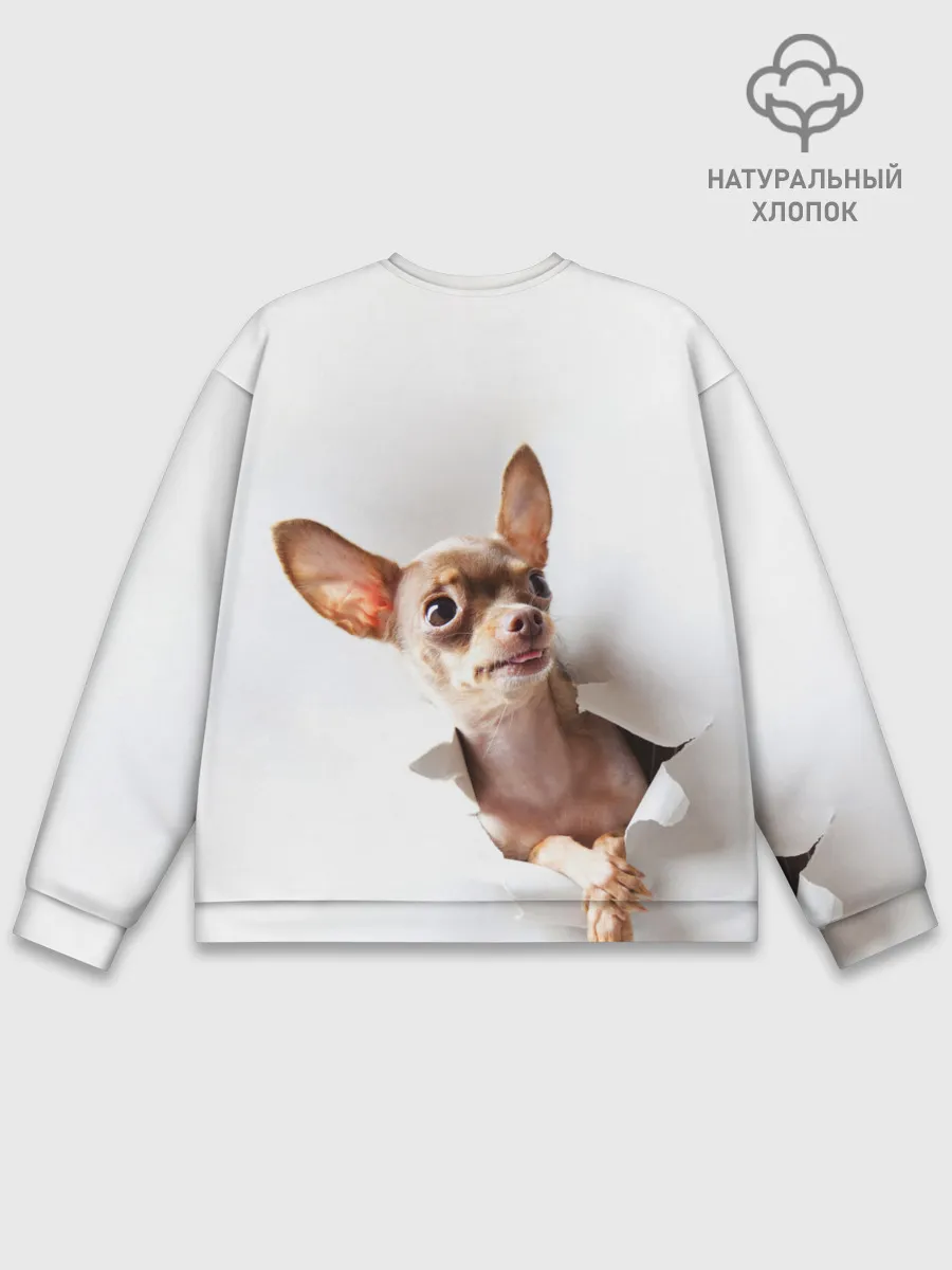 Мужской свитшот базовый / Чихуахуа из бумаги вылазит