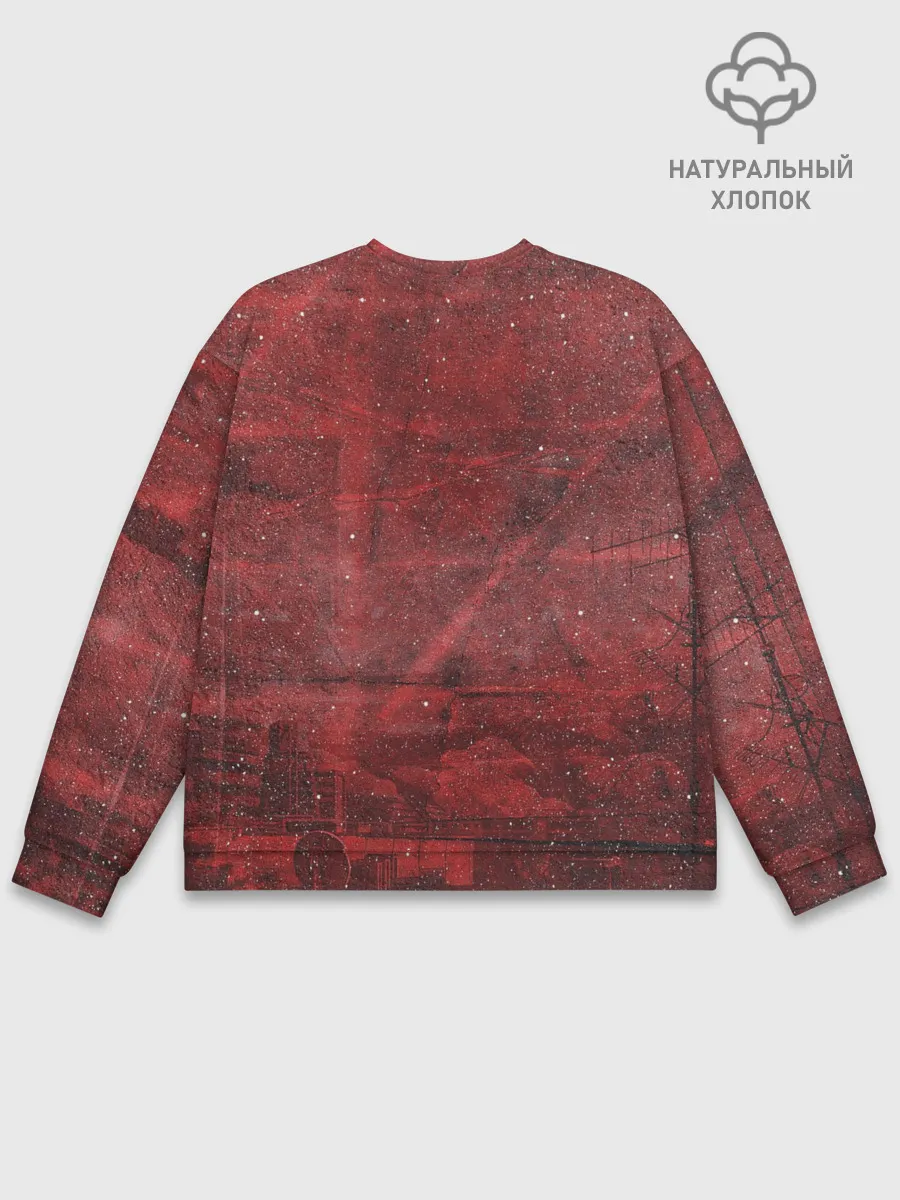 Мужской свитшот базовый / Zero Two в толстовке