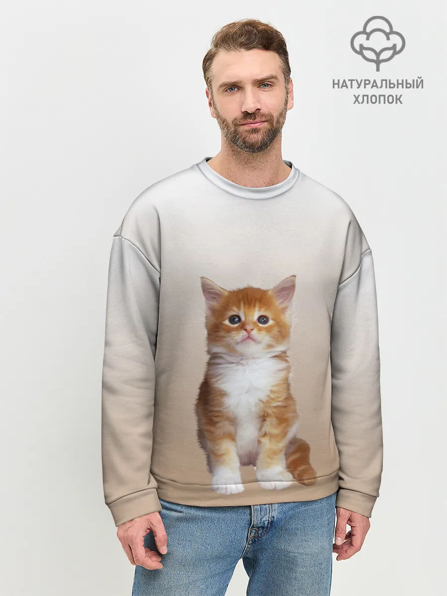 Мужской свитшот базовый / бело-рыжий котенок реализм