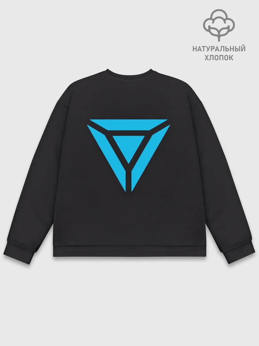 Мужской свитшот базовый / Project