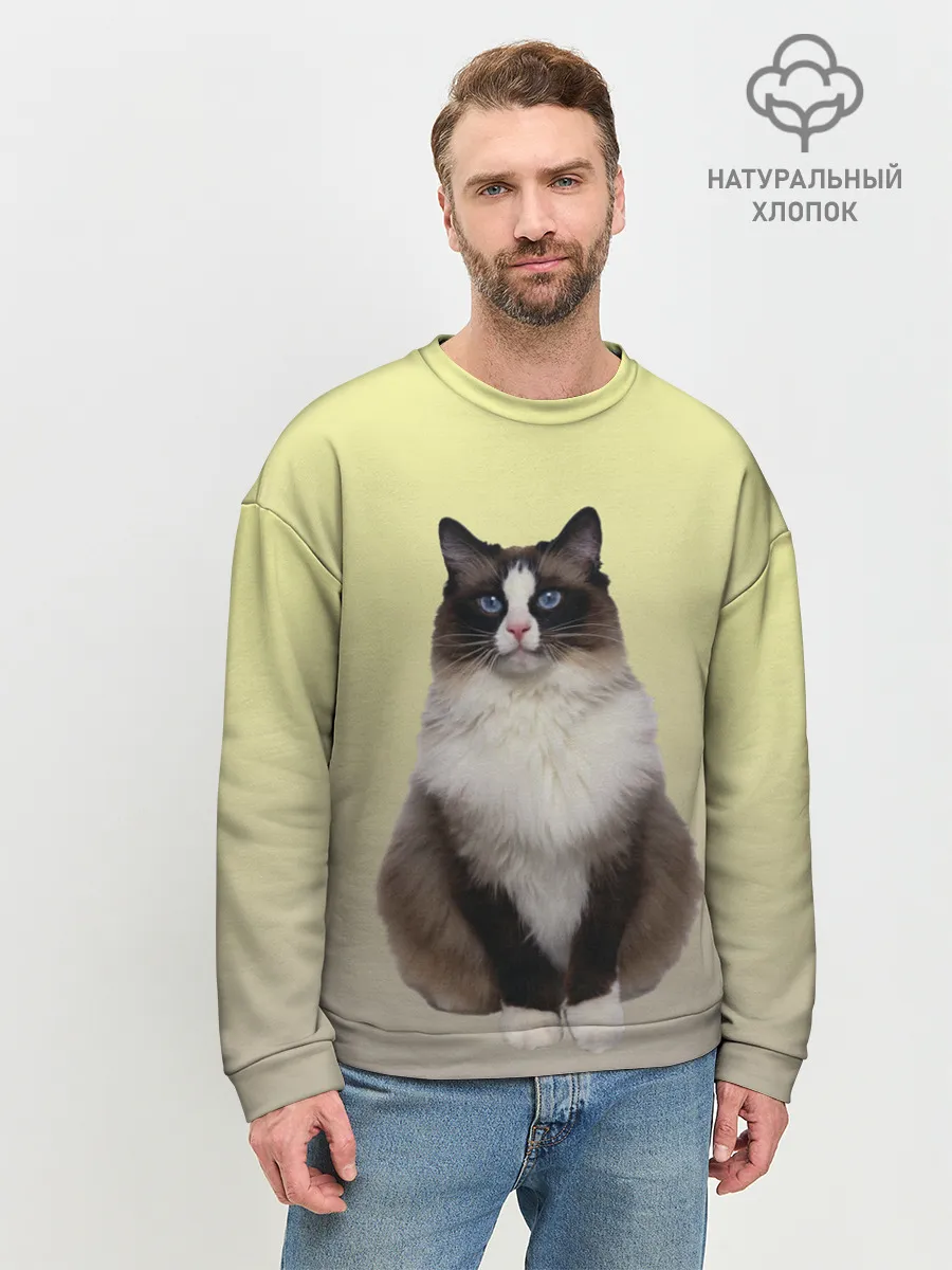 Мужской свитшот базовый / персидская пушистая кошка