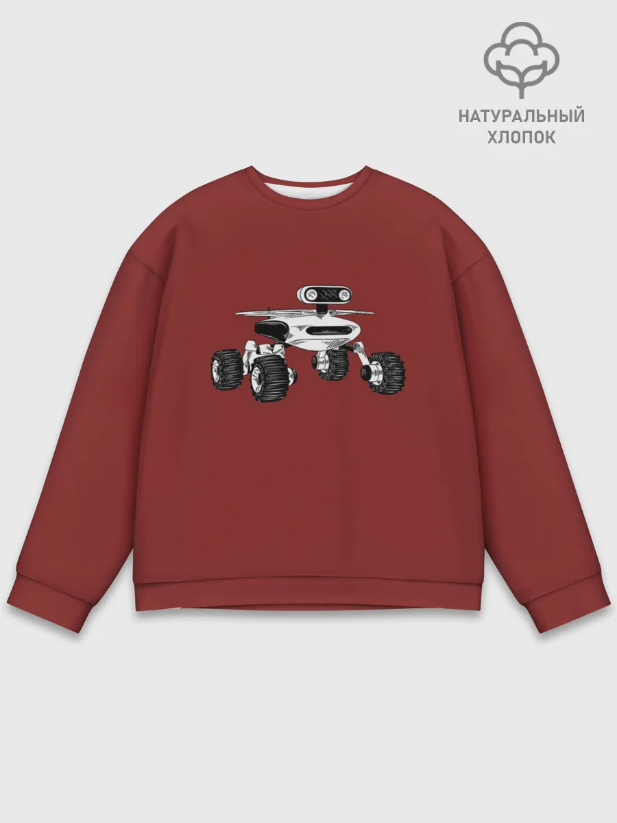 Мужской свитшот базовый / Марсоход