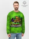 Мужской свитшот базовый / Minecraft