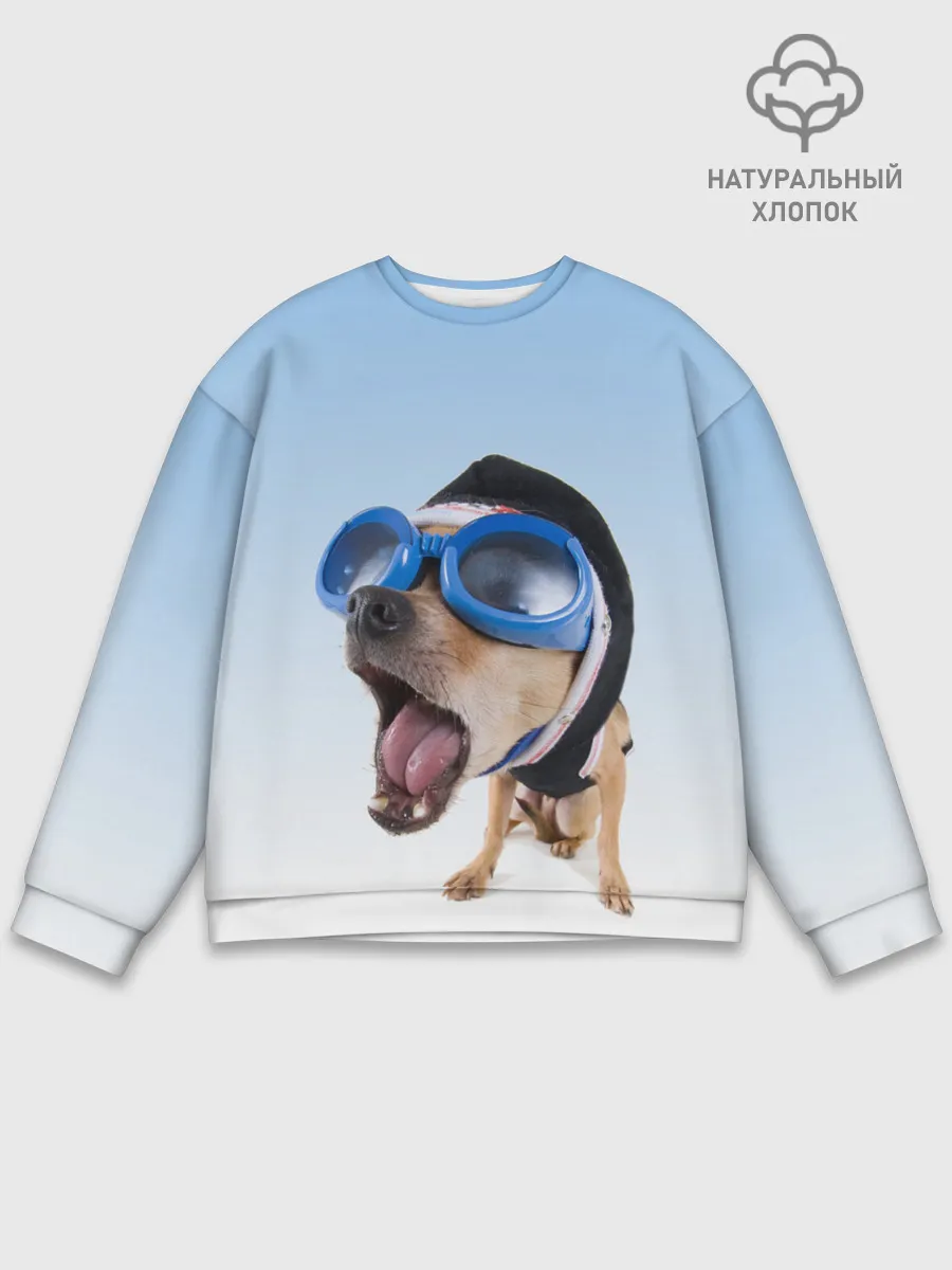 Мужской свитшот базовый / собака в очках