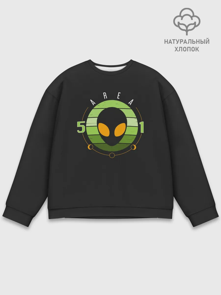 Мужской свитшот базовый / Зона 51